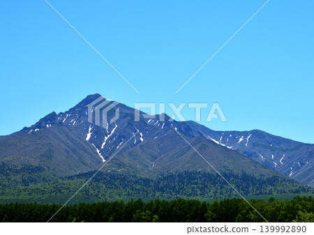 六月的沙裡山，四周綠意盎然。 139992890