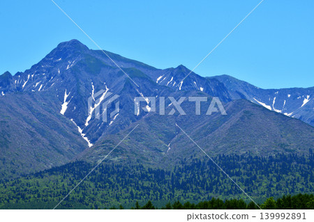 六月的沙裡山，四周綠意盎然。 139992891