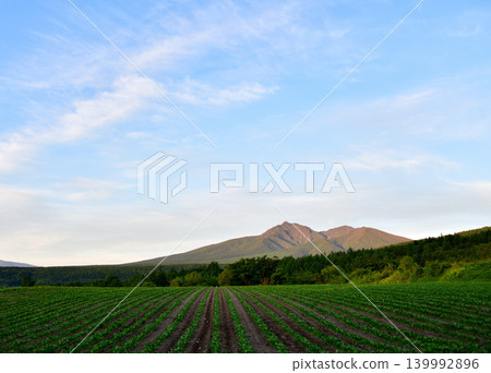 Mount Shari in June, surrounded by fresh greenery. Mount Shari in June, surrounded by fresh greenery. 139992896