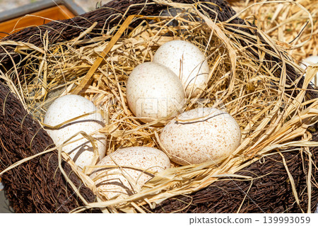 Fresh organic eggs on hay Fresh organic eggs on hay 139993059