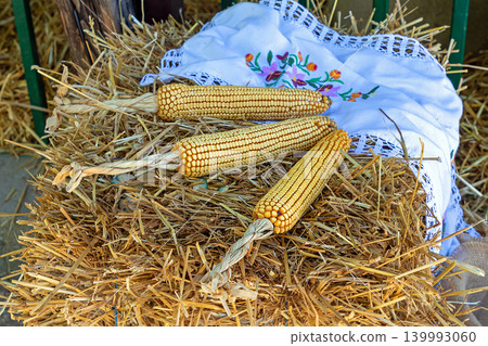 Organic corn agriculture Organic corn agriculture 139993060