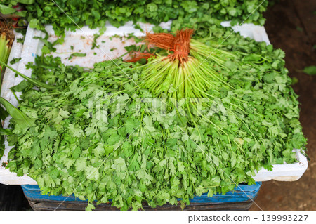 Coriander sold in Thai markets Coriander sold in Thai markets 139993227