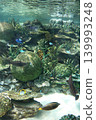 Port of Nagoya Public Aquarium  139993248