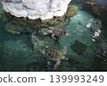 Port of Nagoya Public Aquarium  139993249