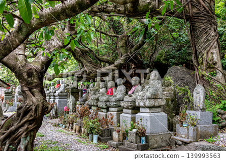 A group of Jizo statues located in a banyan tree forest, a national natural monument. 139993563