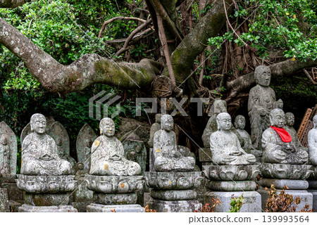 A group of Jizo statues located in a banyan tree forest, a national natural monument. A group of Jizo statues located in a banyan tree forest, a national natural monument. 139993564