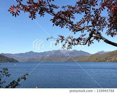 The mountains and lake stretch out beyond the branches of autumn leaves that have just begun to change color. 139993788