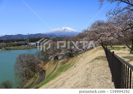 View of Mount Iwate from Shijushida Park 139994292