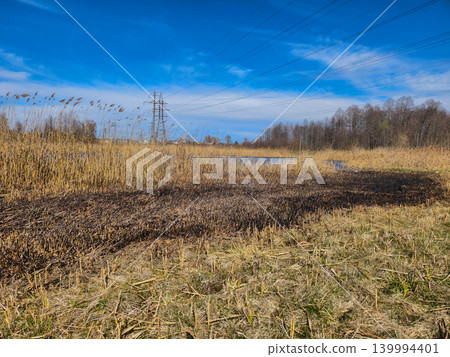 Dry reeds and scorched marshland beside a small pond under a clear blue sky, burned vegetation near transmission lines and a pylon highlighting fire risk and environmental damage. Dry reeds and scorched marshland beside a small pond under a clear blue sky, burned vegetation near transmission lines and a pylon highlighting fire risk and environmental damage. 139994401