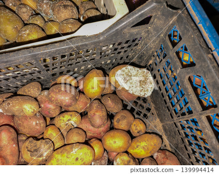 Freshly picked red and yellow potatoes, covered in soil and dirt, filling a sturdy plastic crate after a successful farm harvest, illustrating organic agriculture. Freshly picked red and yellow potatoes, covered in soil and dirt, filling a sturdy plastic crate after a successful farm harvest, illustrating organic agriculture. 139994414
