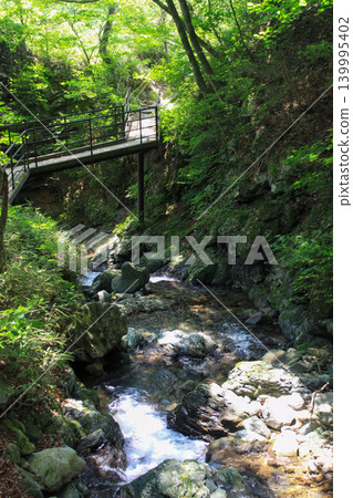 Ryuka Falls Ryuka Falls 139995402