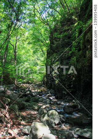 Ryuka Falls Ryuka Falls 139995408