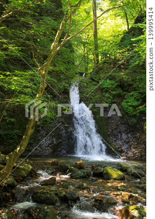 Ryuka Falls Ryuka Falls 139995414