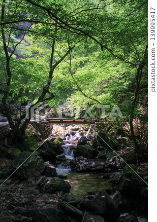 Ryuka Falls Ryuka Falls 139995417