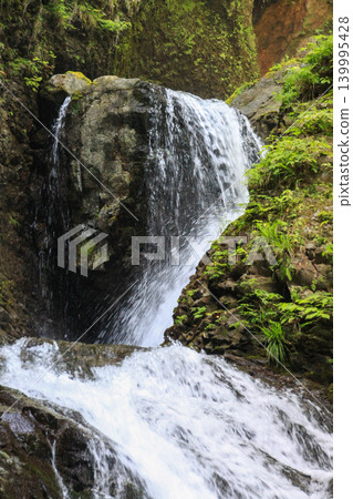 Ryuka Falls Ryuka Falls 139995428
