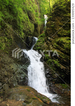 Ryuka Falls 139995429