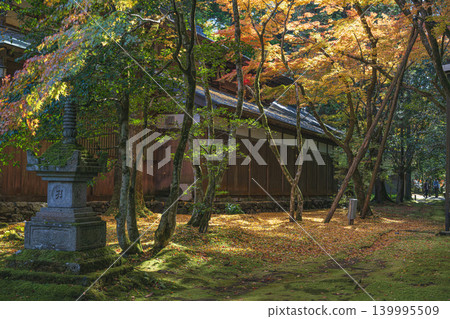 Autumn leaves garden Autumn leaves garden 139995509