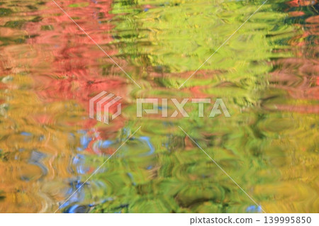 楓葉離開了紅葉 楓葉離開了紅葉 139995850