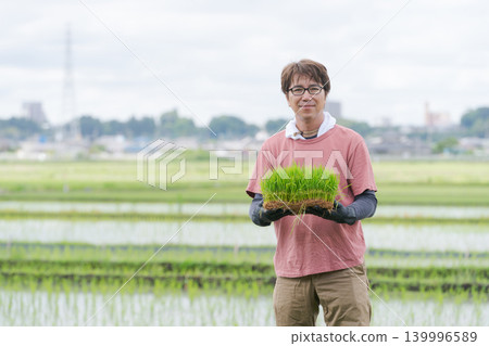 A farmer holding rice seedlings A farmer holding rice seedlings 139996589
