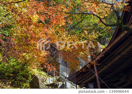 石川縣那多寺的秋景 石川縣那多寺的秋景 139996644