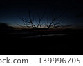 The silhouette of a bare tree against the sunset sky. 139996705