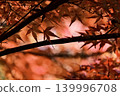 Autumn leaves shining in backlight 139996708