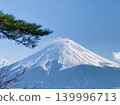 Pine trees and snow-covered Mount Fuji 139996713