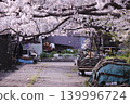 A street lined with cherry trees 139996724