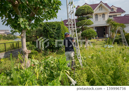 gardener, landscaper, pruning 139996736