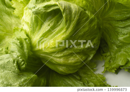 生菜 生菜 139996873