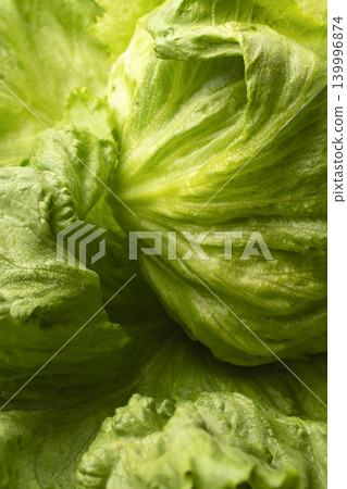 生菜 生菜 139996874