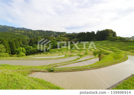 [千葉縣]大山縣千滿田 139996914