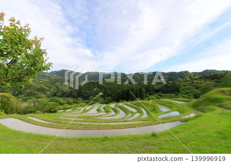 [千葉縣]大山縣千滿田 139996919