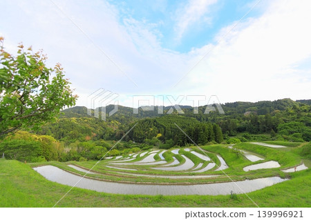 [Chiba Prefecture] Oyama Senmaida, where rice planting has been completed 139996921
