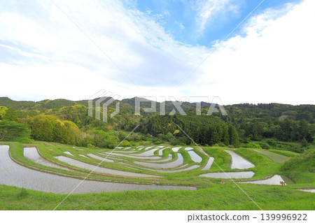 [Chiba Prefecture] Oyama Senmaida, where rice planting has been completed 139996922