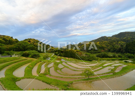 [千葉縣]大山縣千滿田 139996941