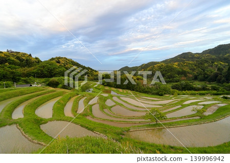 [千葉縣]大山縣千滿田 139996942