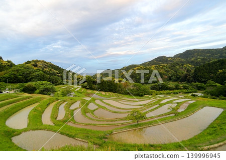 [Chiba Prefecture] Oyama Senmaida, where rice planting has been completed 139996945