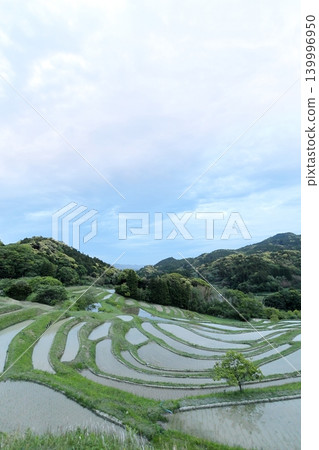 [Chiba Prefecture] Oyama Senmaida, where rice planting has been completed 139996950