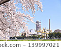 透過櫻花樹隱約可見八戶水泥廠 139997021