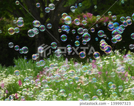 Soap bubbles floating in a flower field 139997323