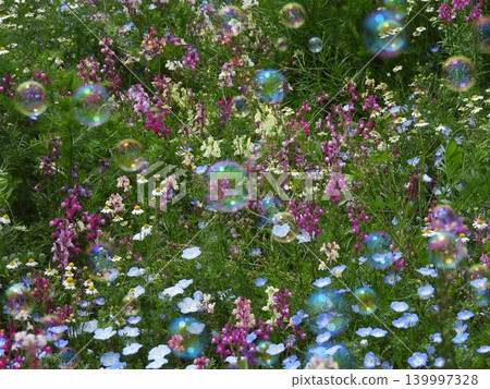 花田裡漂浮著肥皂泡 花田裡漂浮著肥皂泡 139997328