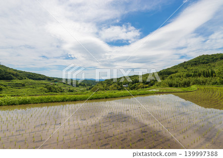 Rice paddies in Uchinari (Beppu City, Oita Prefecture) Rice paddies in Uchinari (Beppu City, Oita Prefecture) 139997388
