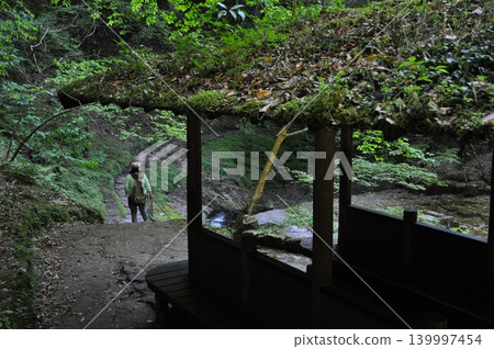 A moss-covered gazebo on a walking path at Akame Forty-Eight Waterfalls, photographed in May. A moss-covered gazebo on a walking path at Akame Forty-Eight Waterfalls, photographed in May. 139997454