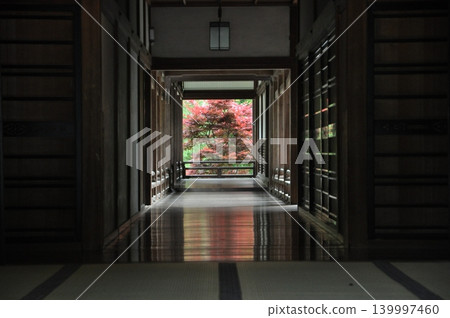 五月從長谷寺走廊看到的景色。 五月從長谷寺走廊看到的景色。 139997460
