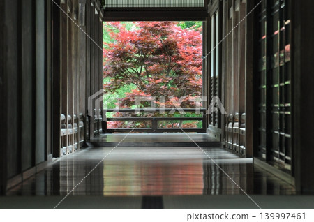 A view from the corridor of Hase-dera Temple in May. A view from the corridor of Hase-dera Temple in May. 139997461