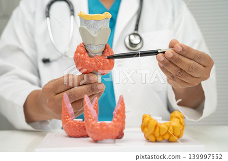 Hyperthyroidism, Overactive Thyroid, Thyroid Lymphoma, Asian doctor with thyroid gland human anatomy model in hospital. 139997552