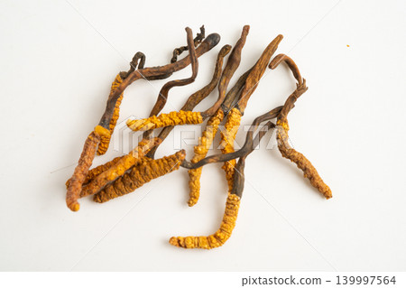 Cordyceps or Ophiocordyceps sinensis mushroom herb is fungus for used as medicine on white background. 139997564