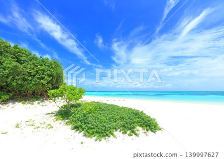 [Okinawa Prefecture] Kondoi Beach on Taketomi Island under a clear sky 139997627