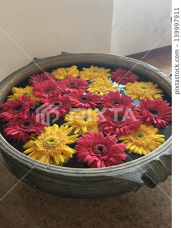 漂浮式花卉裝飾品,以鮮豔的非洲菊為特色,懸浮在名為“烏魯裡”(Uluri)的傳統印度金屬容器中的水中。 漂浮式花卉裝飾品,以鮮豔的非洲菊為特色,懸浮在名為“烏魯裡”(Uluri)的傳統印度金屬容器中的水中。 139997911